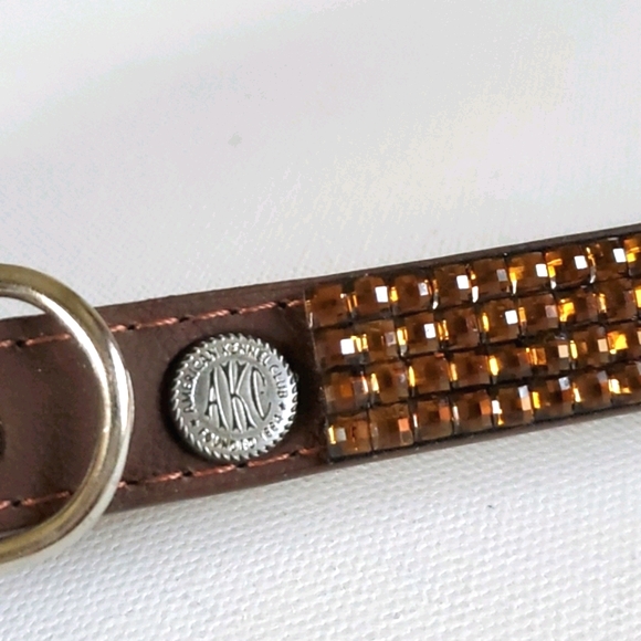 Dog Collar AKC Brown on Brown Bling - Picture 2 of 14